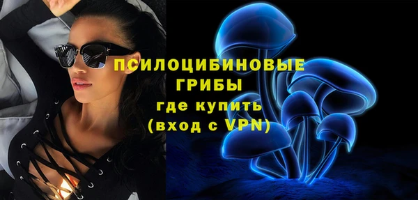 гидропоника Саяногорск