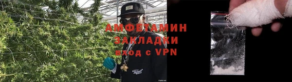 индика Алзамай