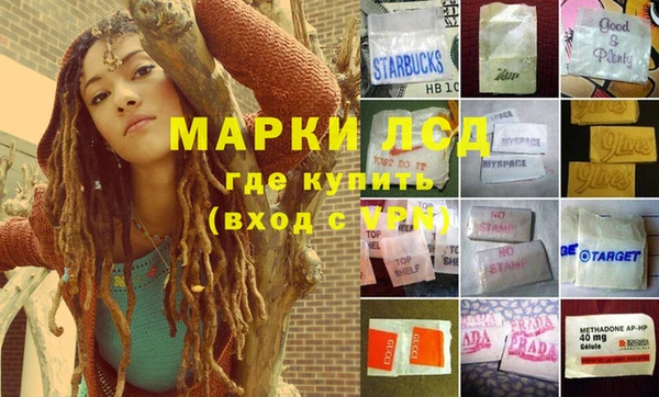 гидропоника Саяногорск