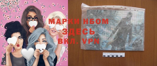 индика Алзамай