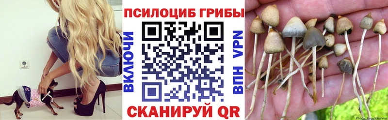 как найти закладки  Бодайбо  МЕГА зеркало  Псилоцибиновые грибы прущие грибы 